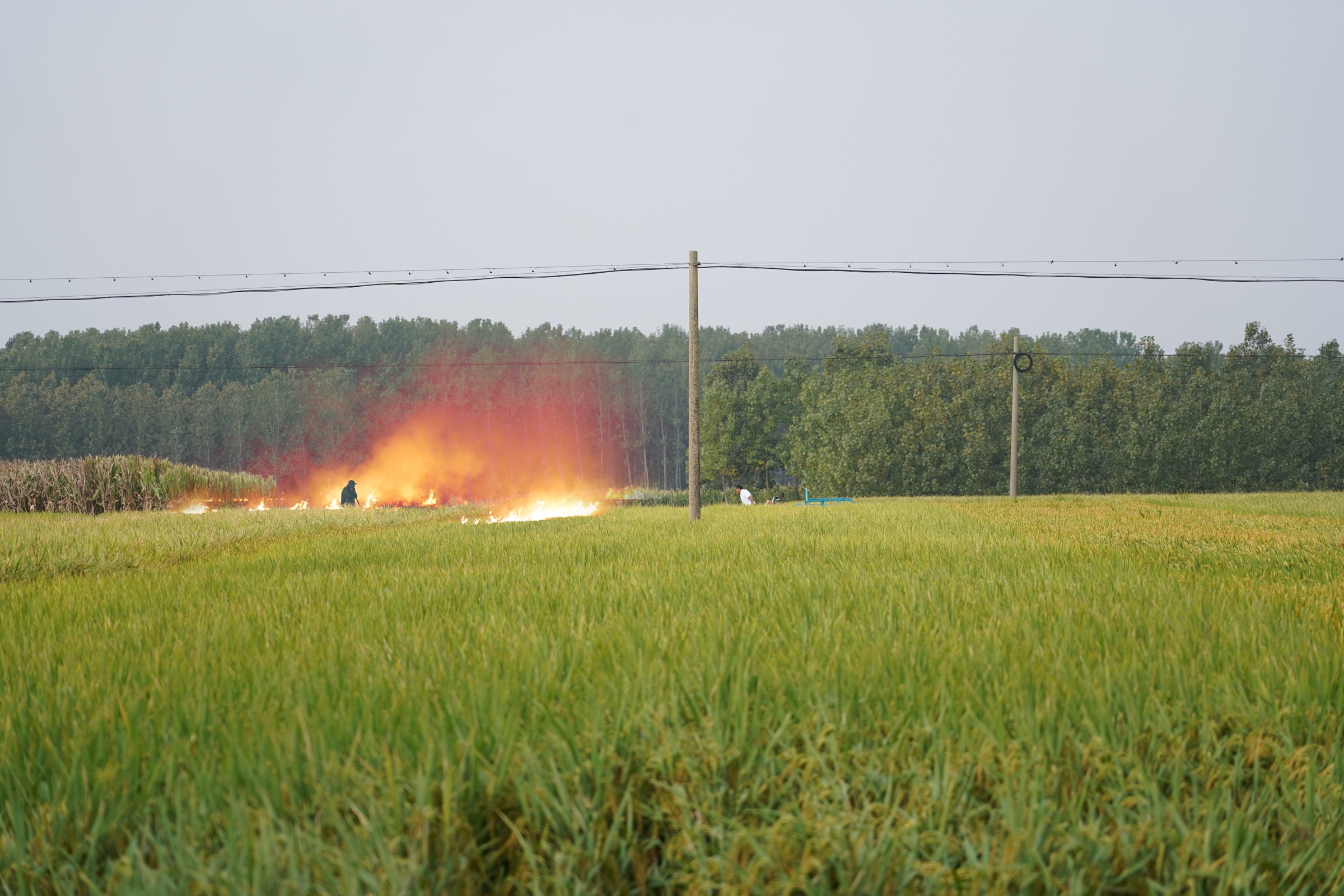 The Burning Prairie, image 4