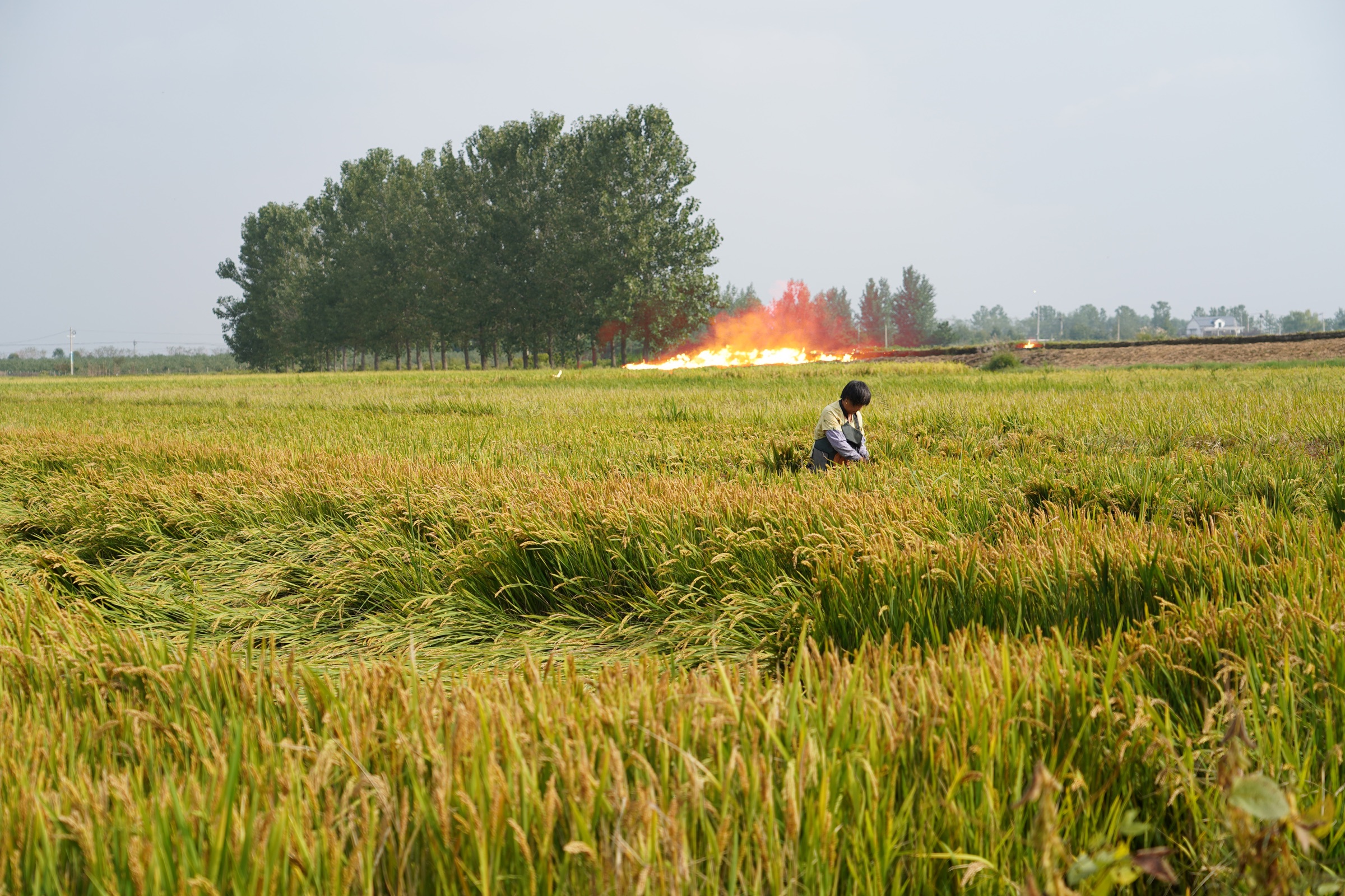 The Burning Prairie, image 14