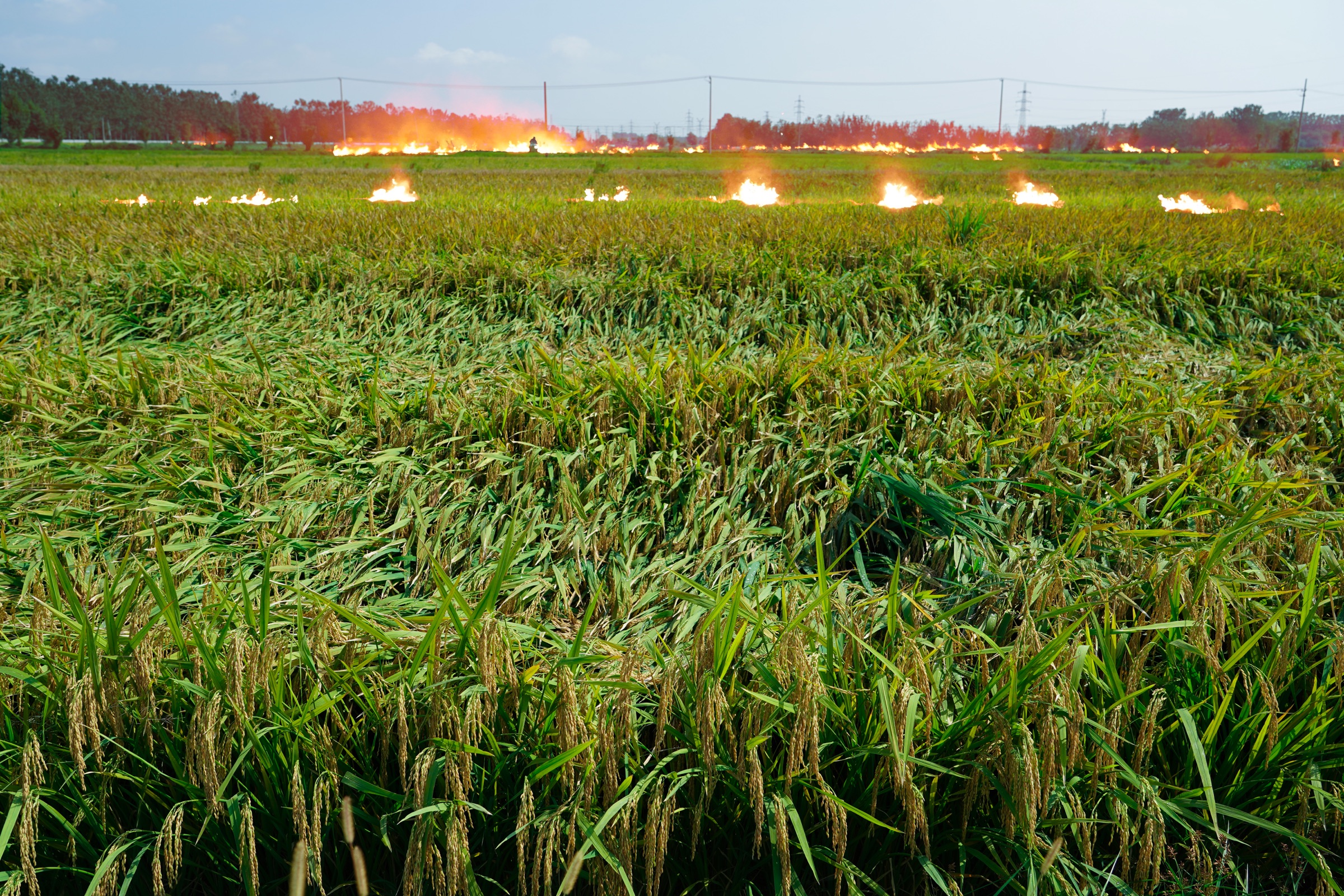 The Burning Prairie, image 11