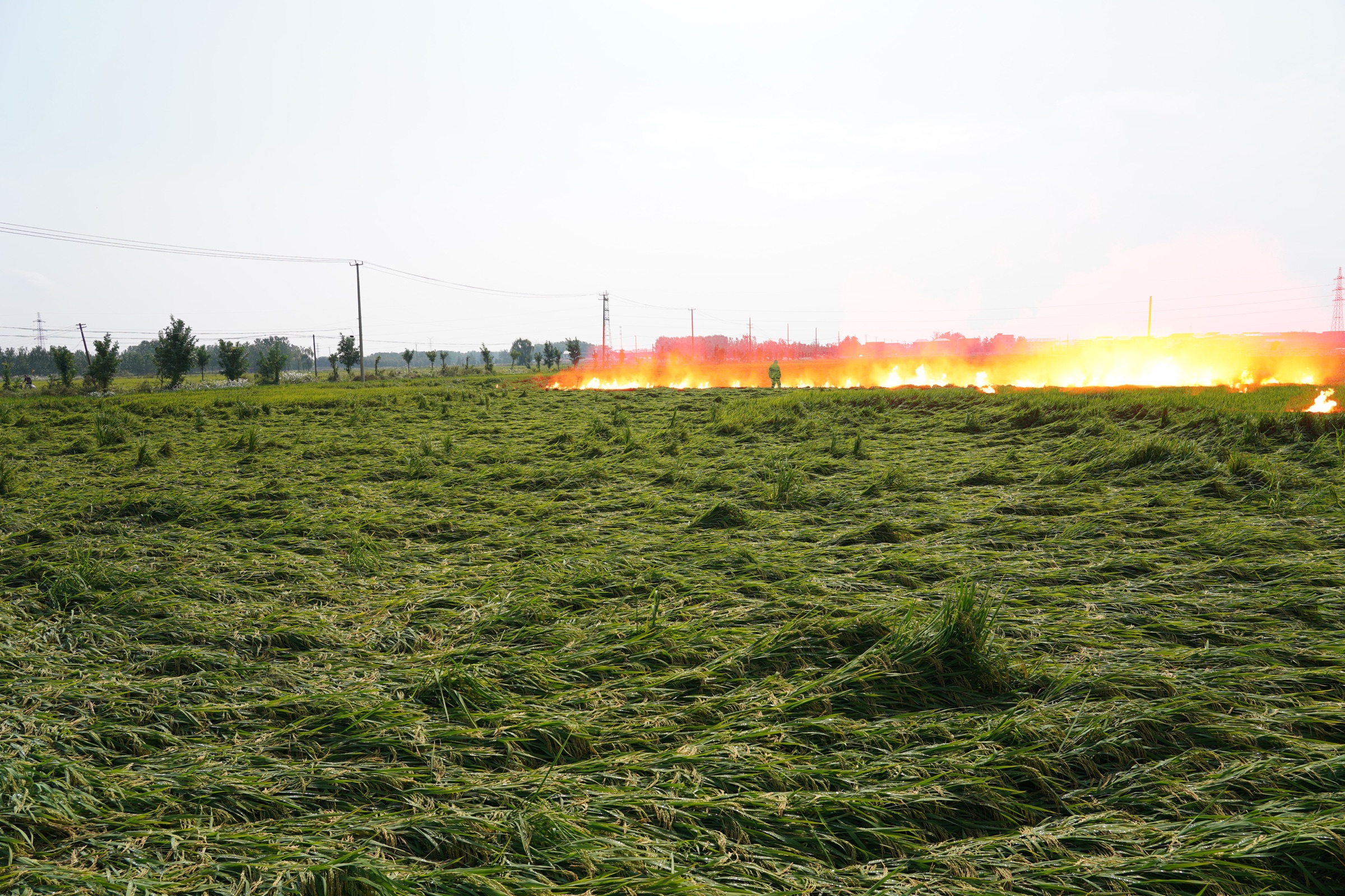 The Burning Prairie, image 5