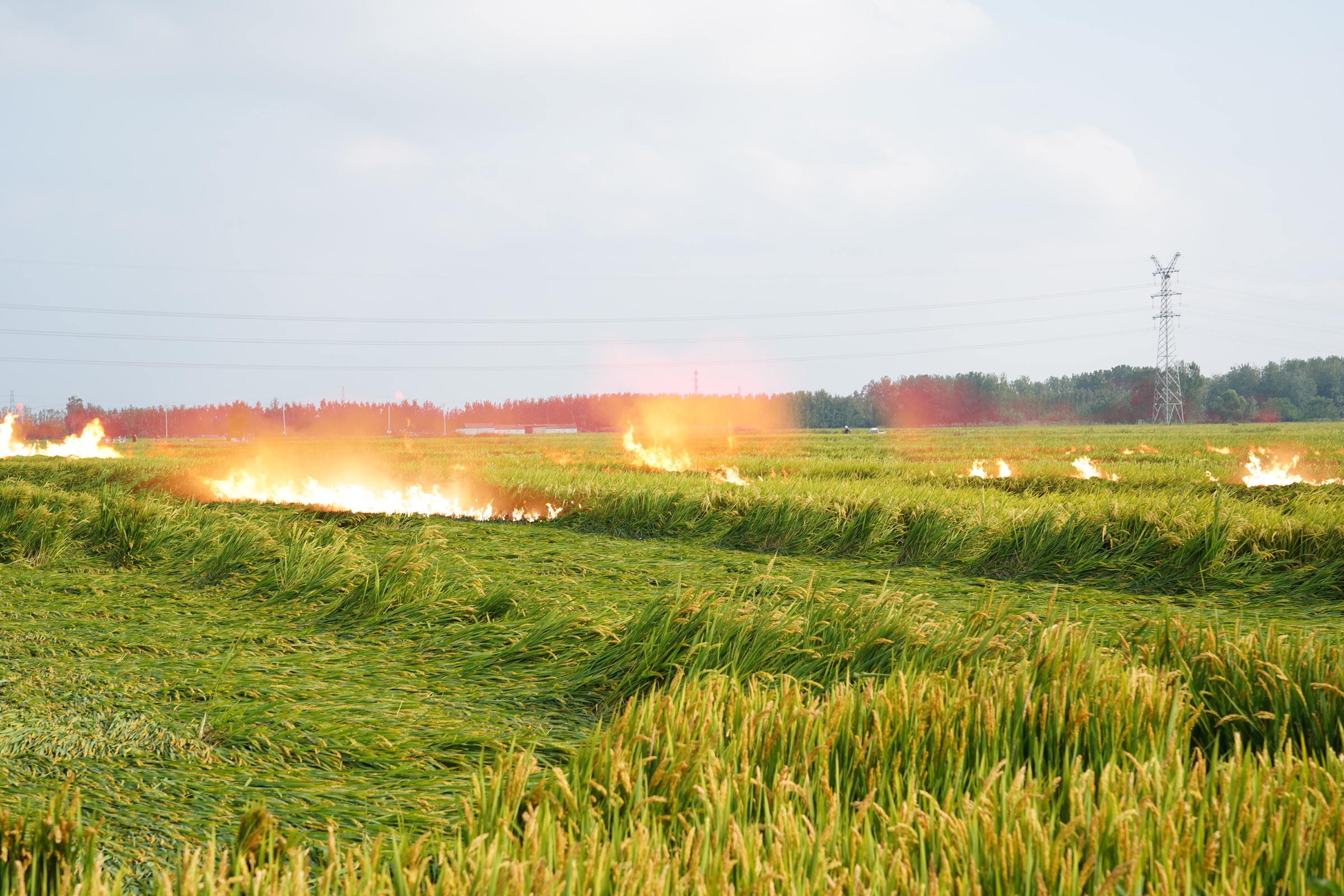 The Burning Prairie, image 2