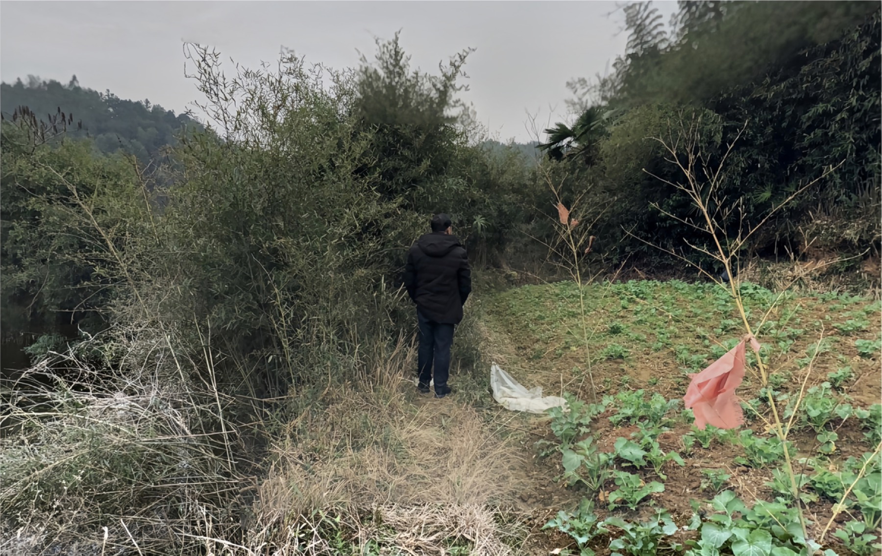 Chinese People in Google Street View — Yan Jiacheng (闫家成), view image 25