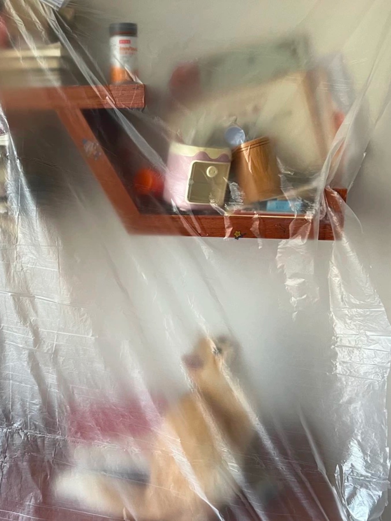 Taobao Review Photos as a Form of Typological Photography — Yan Jiacheng (闫家成), view image 9