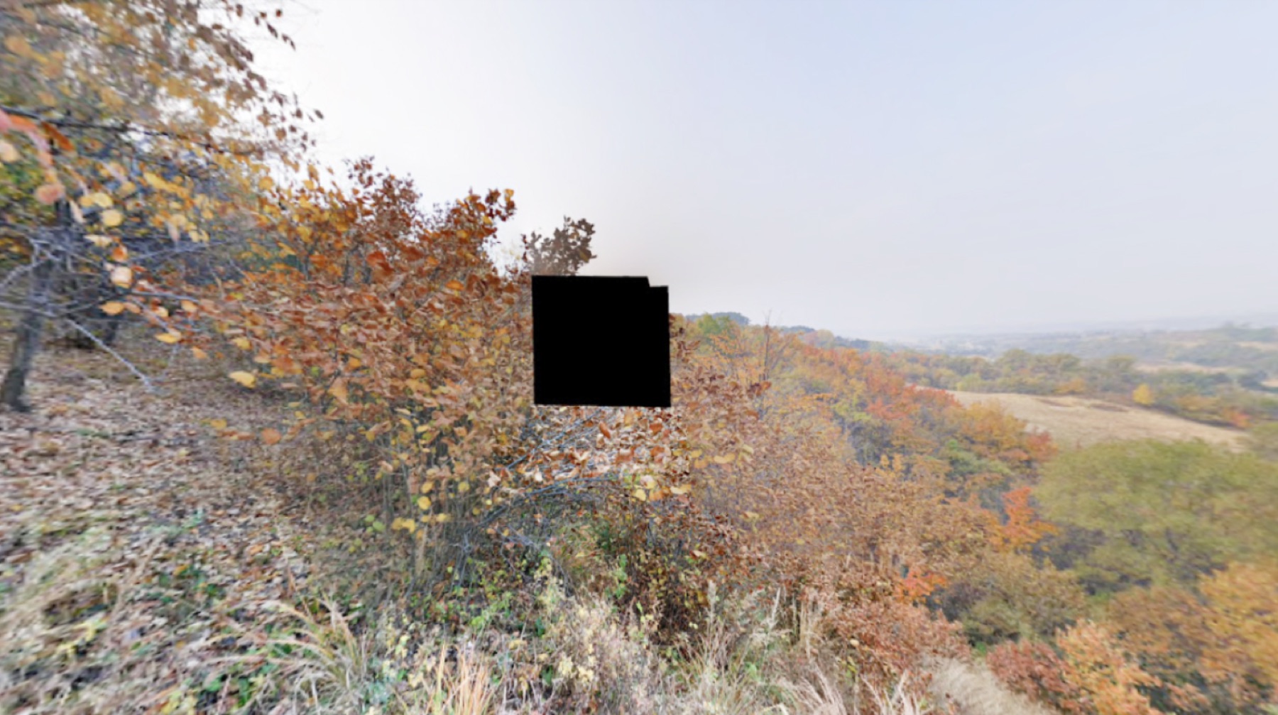 The Hollow of Google Street View — Algorithmic void, 26