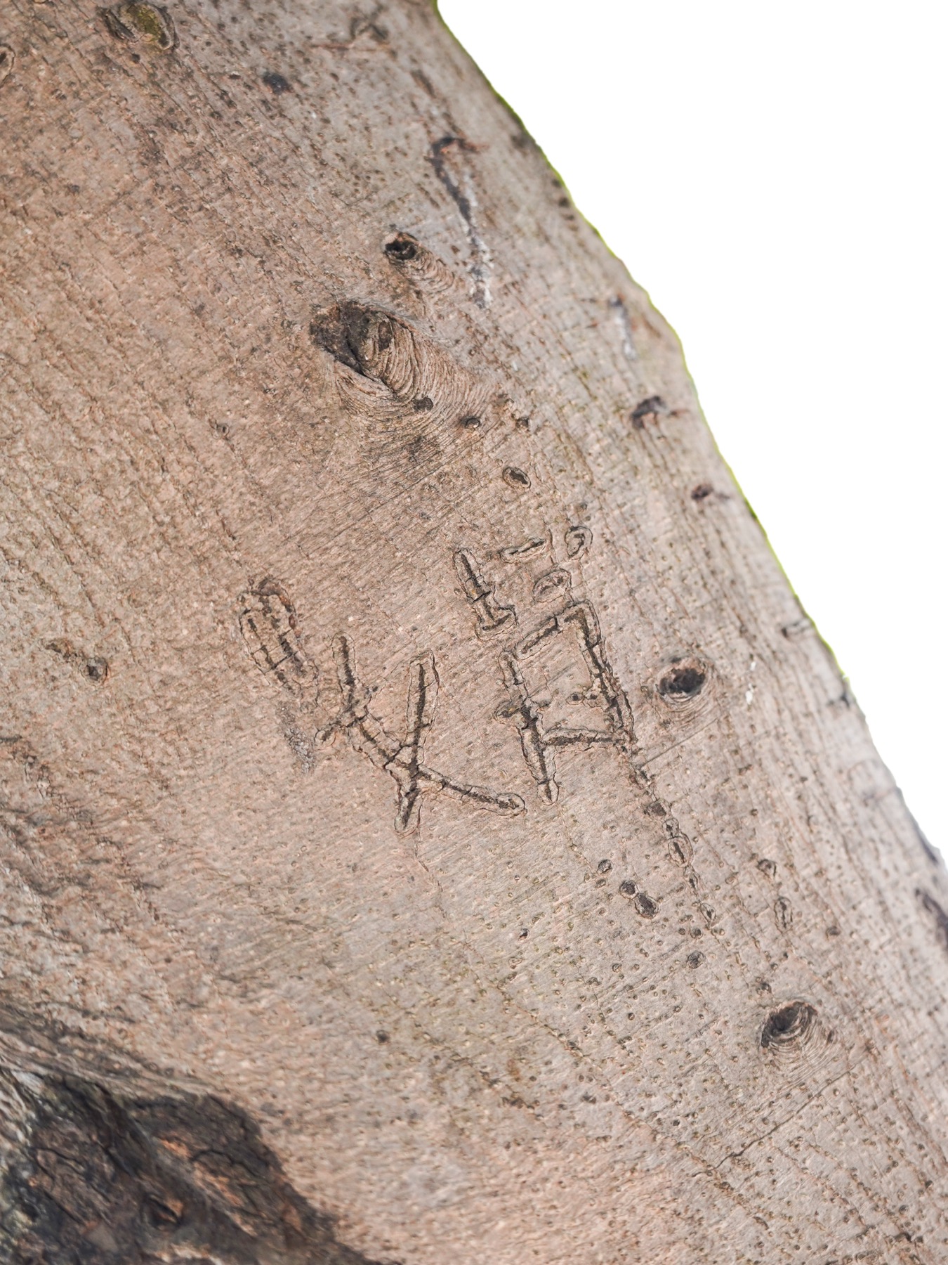 Writing in an Abandoned Factory District — Yan Jiacheng (闫家成), view image 1