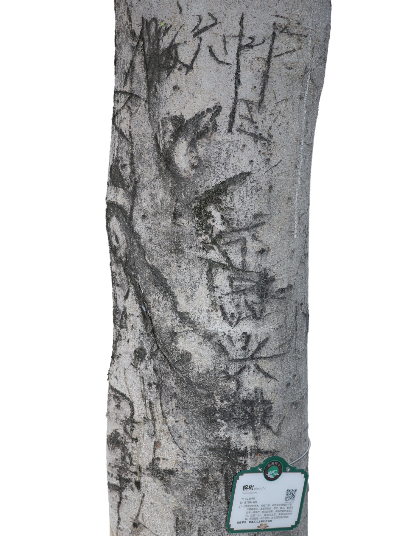 Writing in an Abandoned Factory District — Yan Jiacheng (闫家成), view image 4