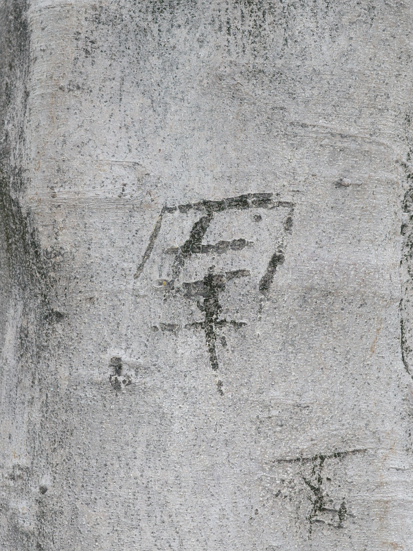 Writing in an Abandoned Factory District — Yan Jiacheng (闫家成), view image 10