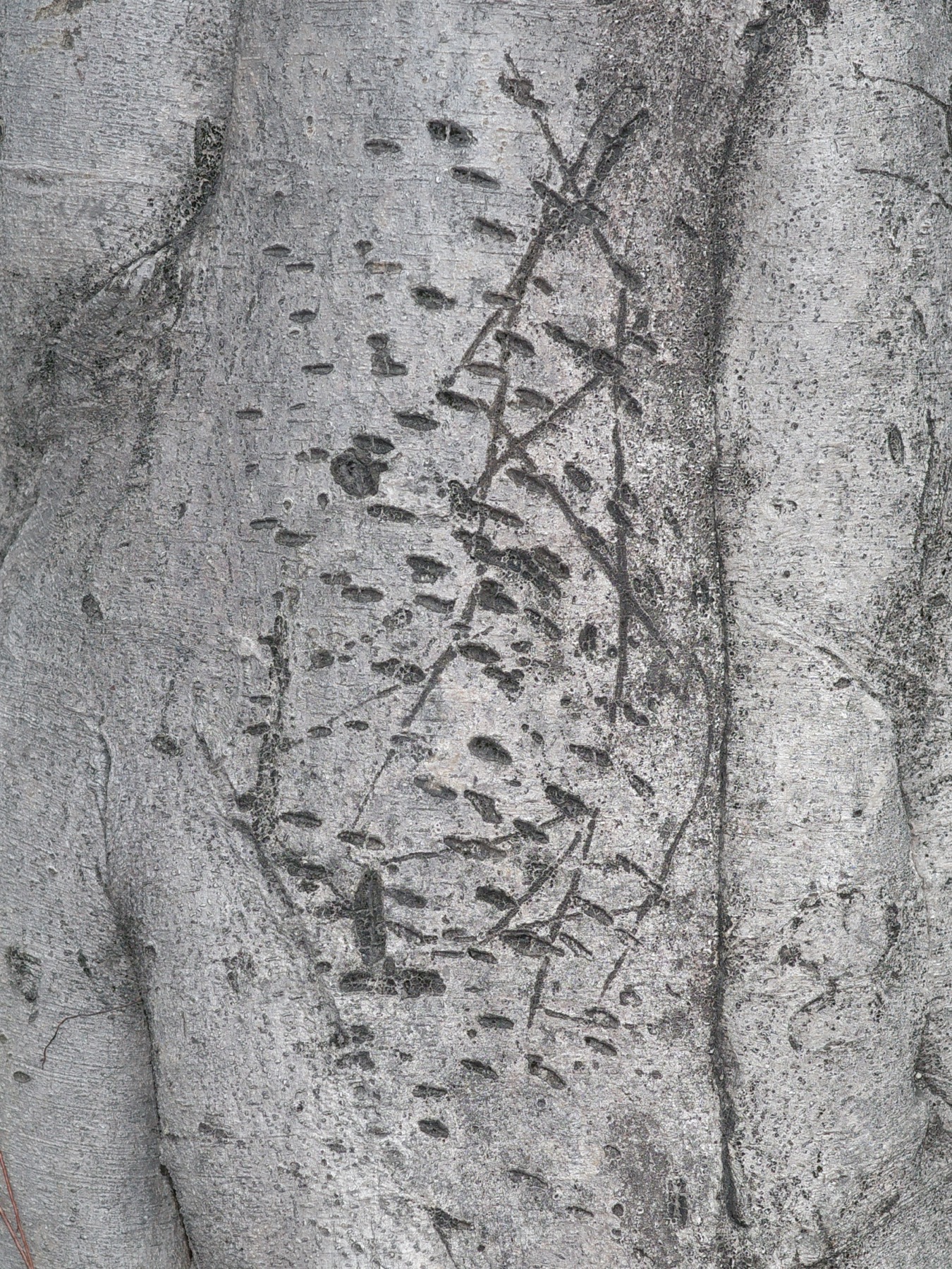 Writing in an Abandoned Factory District — Yan Jiacheng (闫家成), view image 11