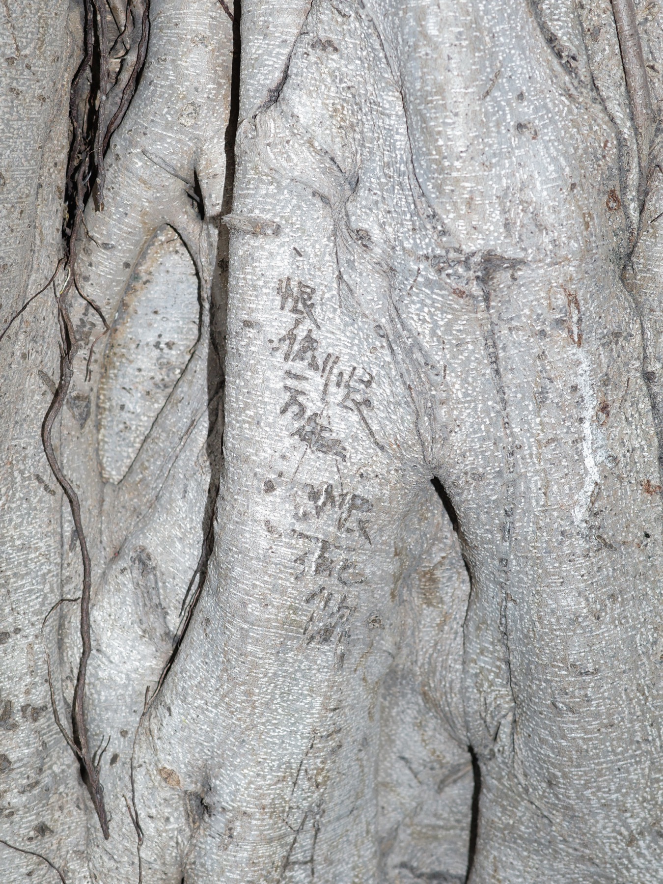Writing in an Abandoned Factory District — Yan Jiacheng (闫家成), view image 25