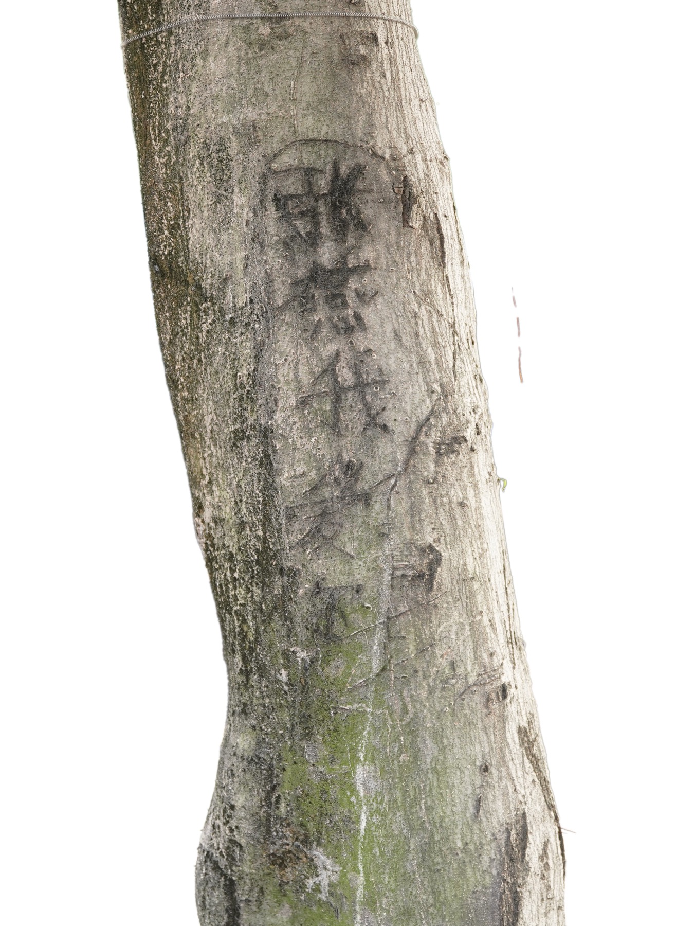 Writing in an Abandoned Factory District — Yan Jiacheng (闫家成), view image 27
