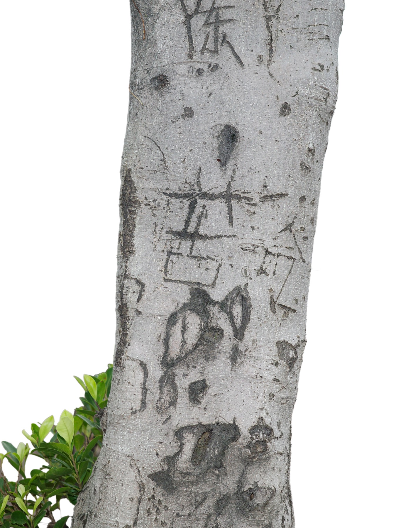 Writing in an Abandoned Factory District — Yan Jiacheng (闫家成), view image 29